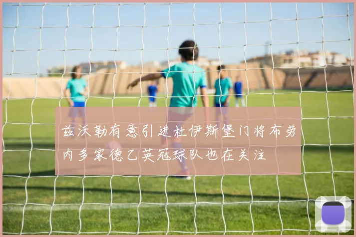 兹沃勒有意引进杜伊斯堡门将布劳内多家德乙英冠球队也在关注