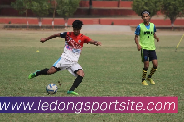 乐动体育平台生态图